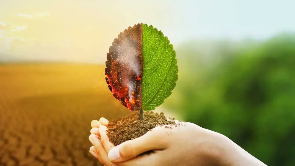 Quais os tipos de mudanças climáticas